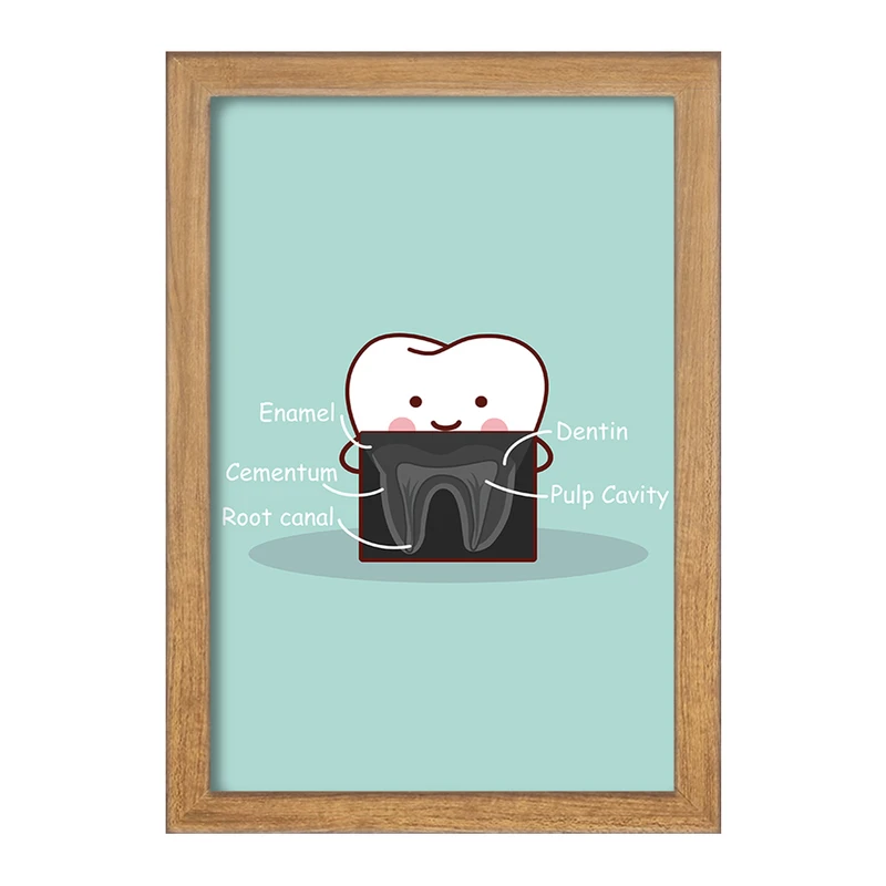 تابلو خندالو مدل دندان و دندان پزشکی کودکانه کد 36730