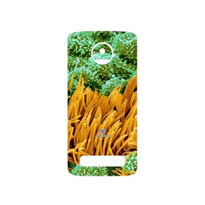 MAHOOT Atom Universe 6 Cover Sticker for Motorola Moto Z