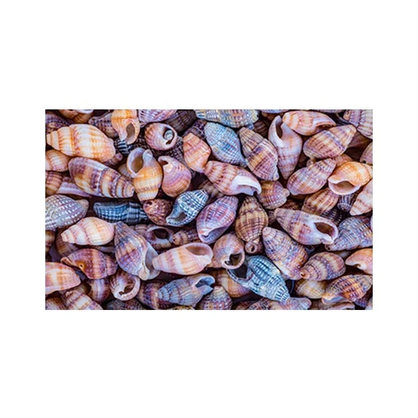   پادری مدل مدرن و کلاسیک کد HSHMP0224 سایز 76x46 سانتی متر