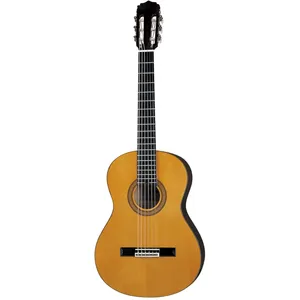 گیتار کلاسیک آریا مدل AK-20