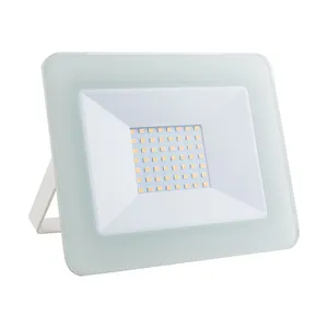 Delta Projector LED 30W Lamp