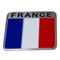ارم خودرو مدل پرچم فرانسه کد safa279