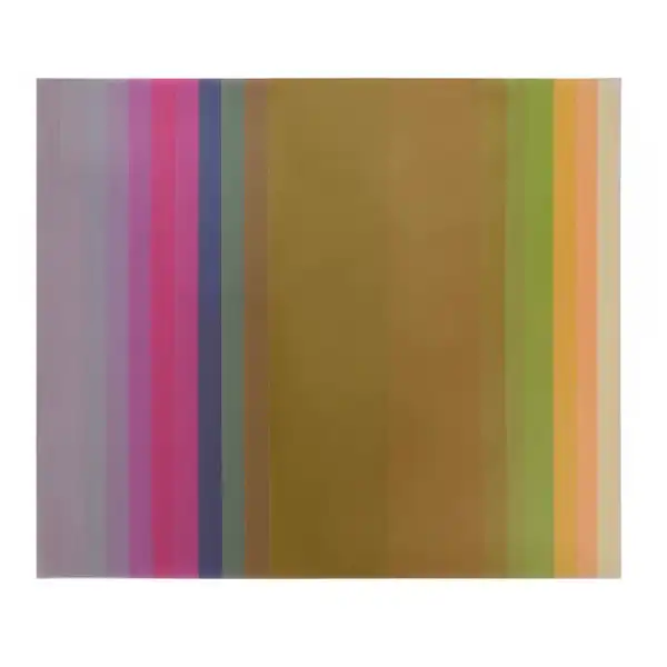 طلق پاپکو مدل A4-2 بسته 10 عددی