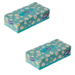 دستمال کاغذی 100 برگ تنو مدل a0051 بسته دو عددی