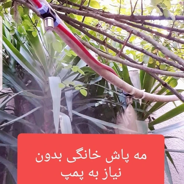 عکس شماره 2