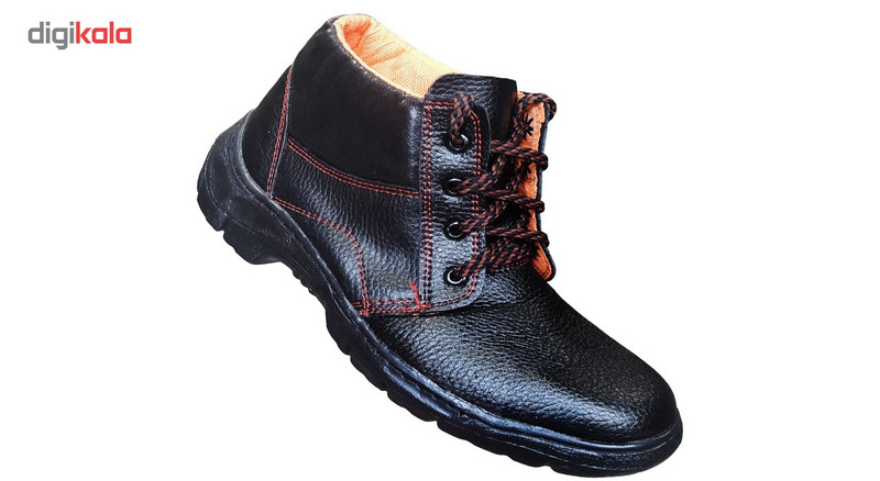 پوتین ایمنی سبلان مدل انرژی