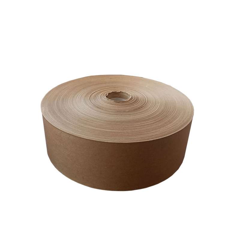 چسب کاغذی کد 20 عرض 6 سانتی متر بسته 2 عددی
