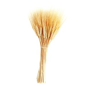 نقد و بررسی گل خشک مدل خوشه گندم توسط خریداران