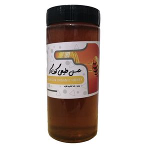 نقد و بررسی عسل گون نگین دانه - 1 کیلوگرم توسط خریداران