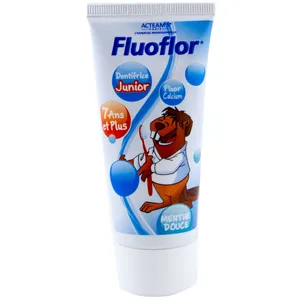 خمیر دندان کودک فلوفلور مدل dentifrice junior حجم 50 ml