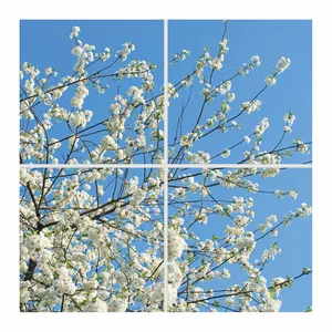 تایل سقفی آسمان مجازی مدل SK-429 سایز 60x60 سانتیمتر مجموعه 4 عددی