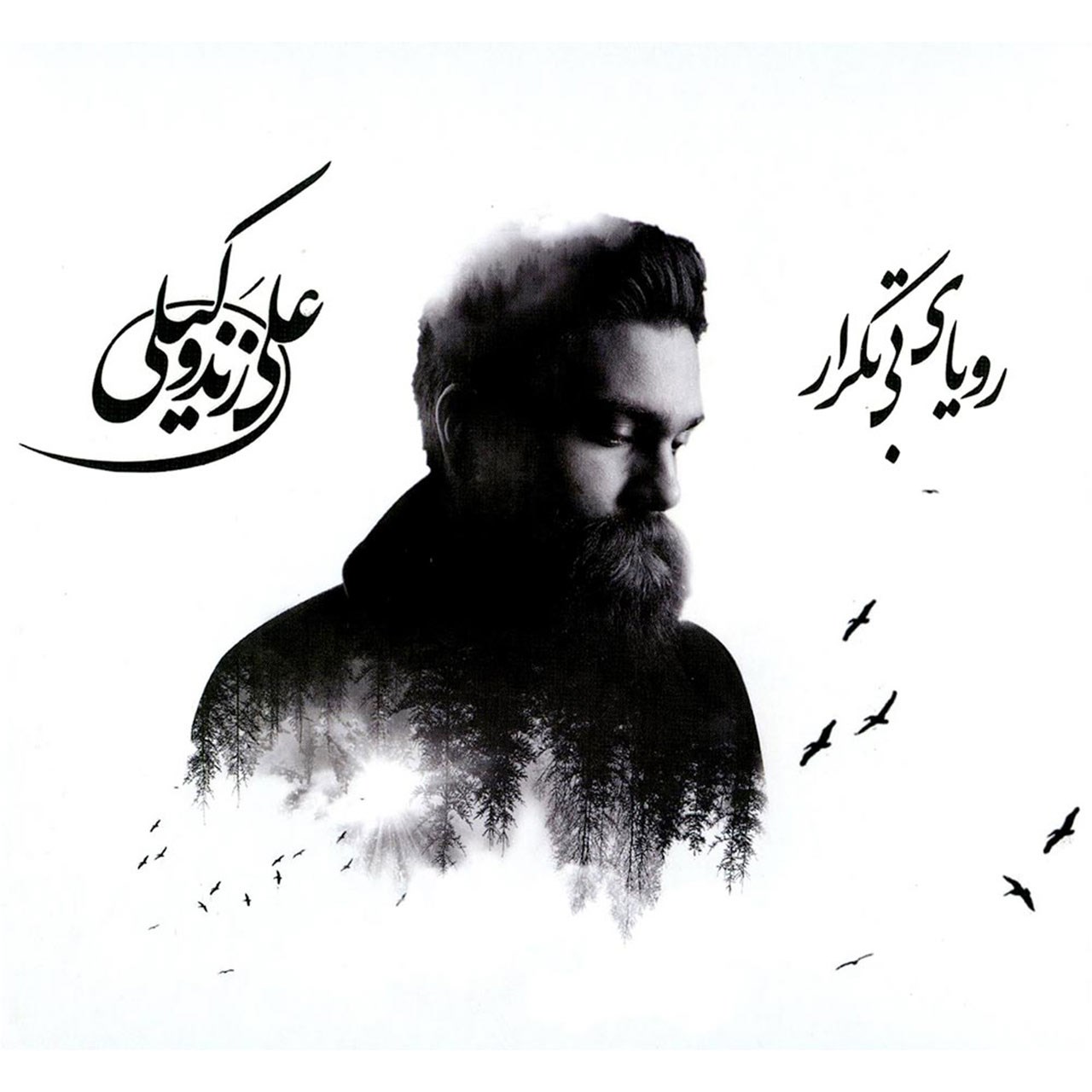 آلبوم موسیقی رویای بی تکرار اثر علی زند وکیلی - بسته بندی مقوایی