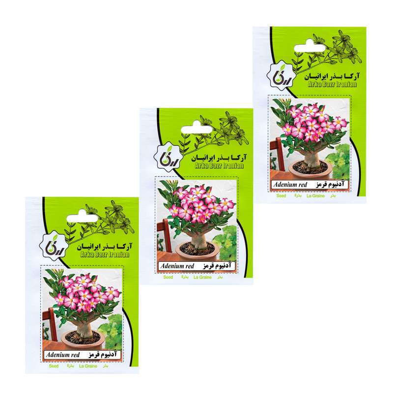 بذر گل آدونیوم قرمز آرکا بذر ایرانیان مدل A4 مجموعه 3 عددی