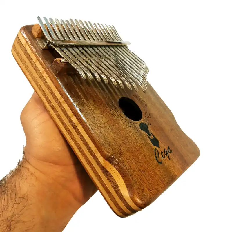 کالیمبا سگا مدل AS