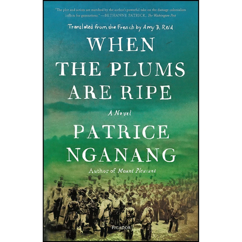 کتاب When the Plums Are Ripe اثر Patrice Nganang and Amy B. Reid انتشارات Picador