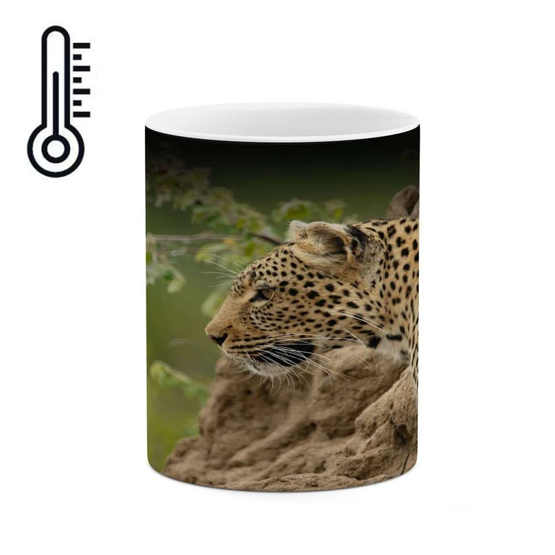 ماگ حرارتی کاکتی مدل پلنگ کد mgh17653