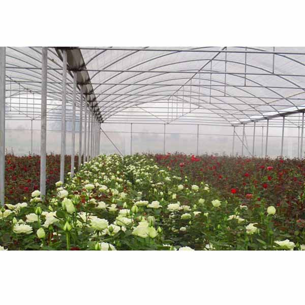 توری شید گلخانه مدل ضخیم ضدآفتاب کد 2/3 طول 3 متر توری شید گلخانه مدل ضخیم ضدآفتاب کد 2/3 طول 3 متر