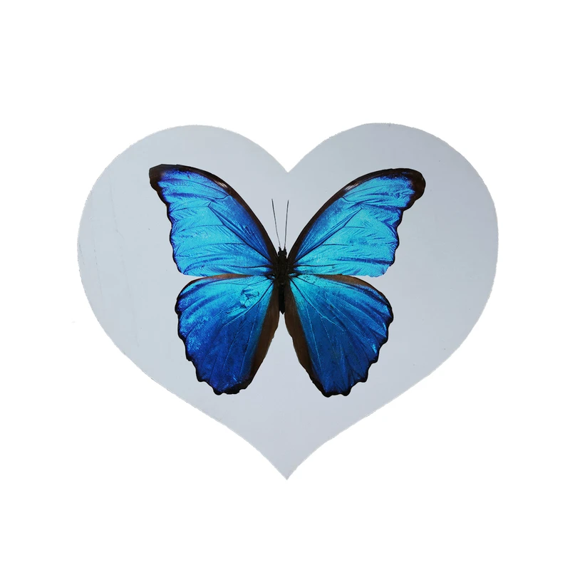 پادری مدل قلب طرح پروانه کد 9028 سایز 90x90 سانتی متر 