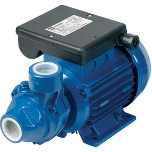 Ebara PRA 0.50 M-LOCAL Peripheral Pump