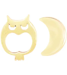 گوشواره طلا 18 عیار رزا مدل EG03