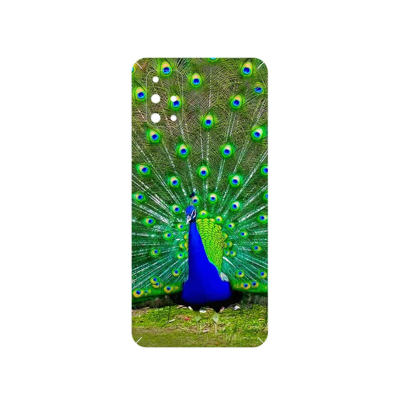 برچسب پوششی ماهوت مدل Peacock مناسب برای گوشی موبایل سامسونگ Galaxy M31S