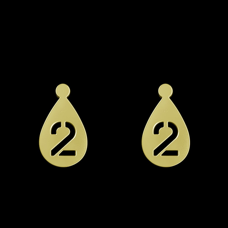 گوشواره طلا 18 عیار زنانه مدوپد مدل عدد 2 کد GA1-12535