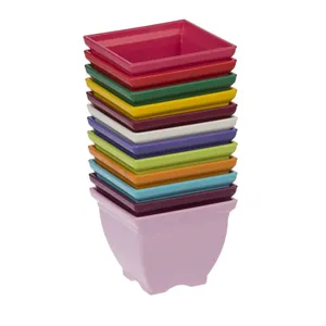Shahrazin 7008 Plant Pot 7Cm Pack of 12 PCS