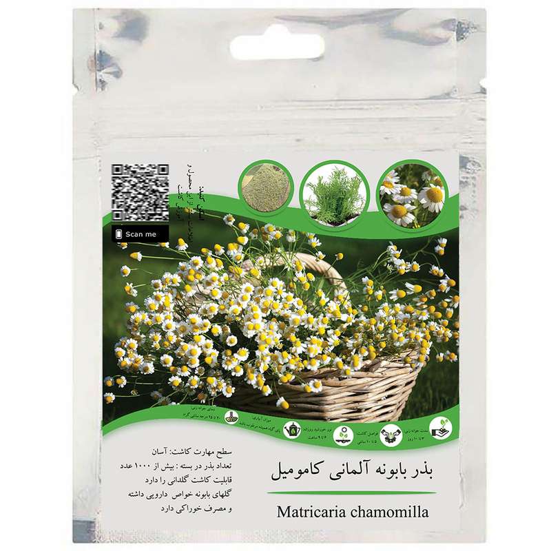 بذر گل بابونه آلمانی کامومیل مدل GL01 بذر گل بابونه آلمانی کامومیل مدل GL01