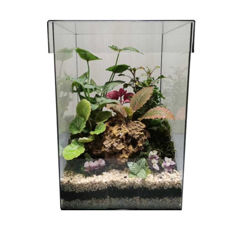 تراریوم گیاهی مدل sh-2021 کد 022