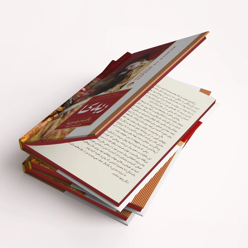 عکس شماره 7 : کتاب ربه کا، بلندی های بادگیر، صد سال تنهایی، دزیره، جنایت و مکافات، غرور و تعصب اثر جمعی از نویسندگان انتشارات هیتا مجموعه 6 جلدی