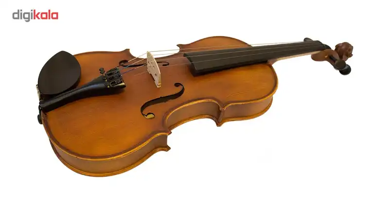 ویالن رناتو180 سایز 4/4