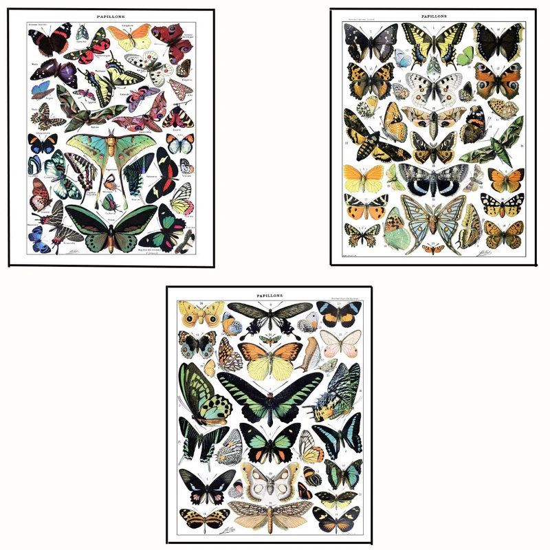 پوستر مدل مستر آدولف میلو - پرواز پروانه‌ها مجموعه 3 عددی