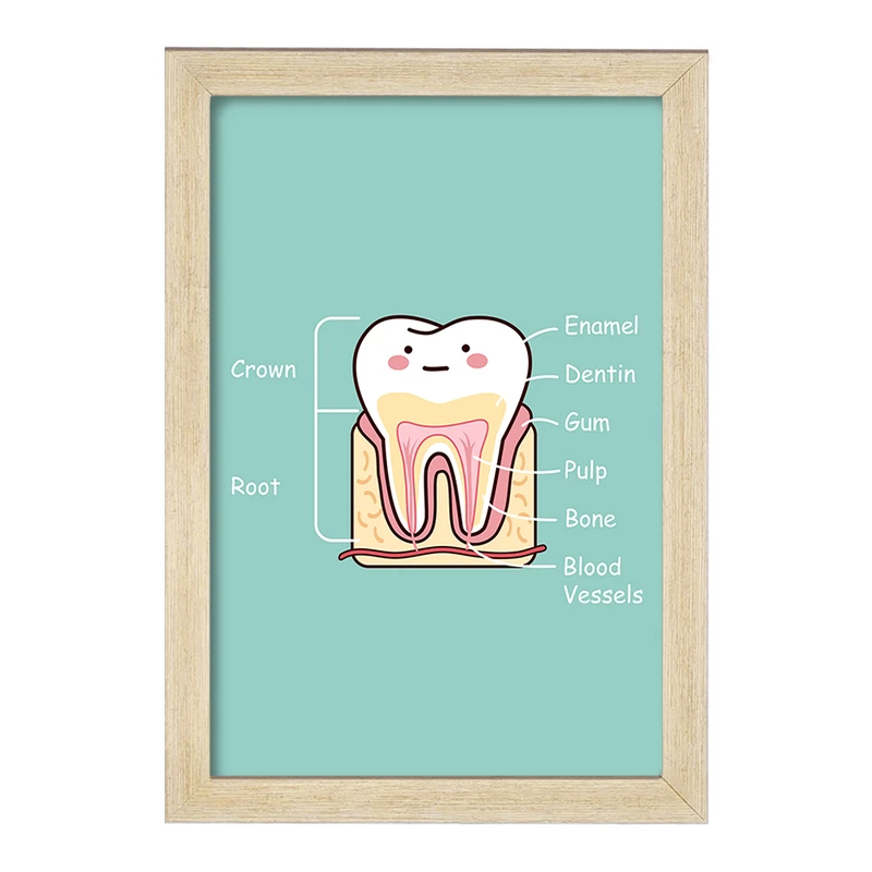 تابلو خندالو مدل دندان و دندانپزشکی کودکانه کد 27754
