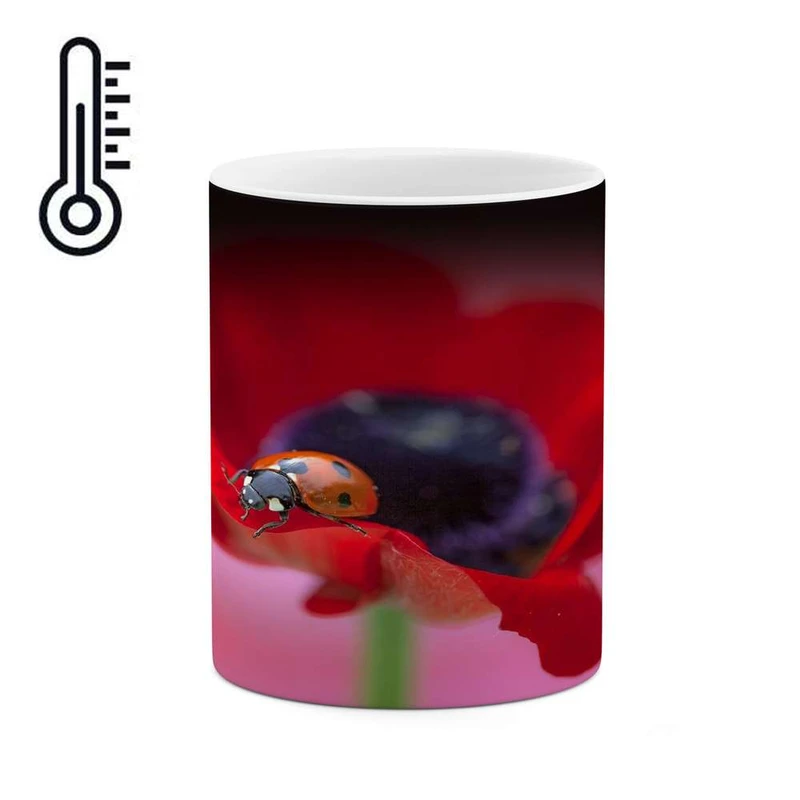 ماگ حرارتی کاکتی مدل کفشدوزک کد mgh17698