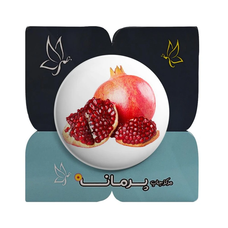 عکس شماره 2