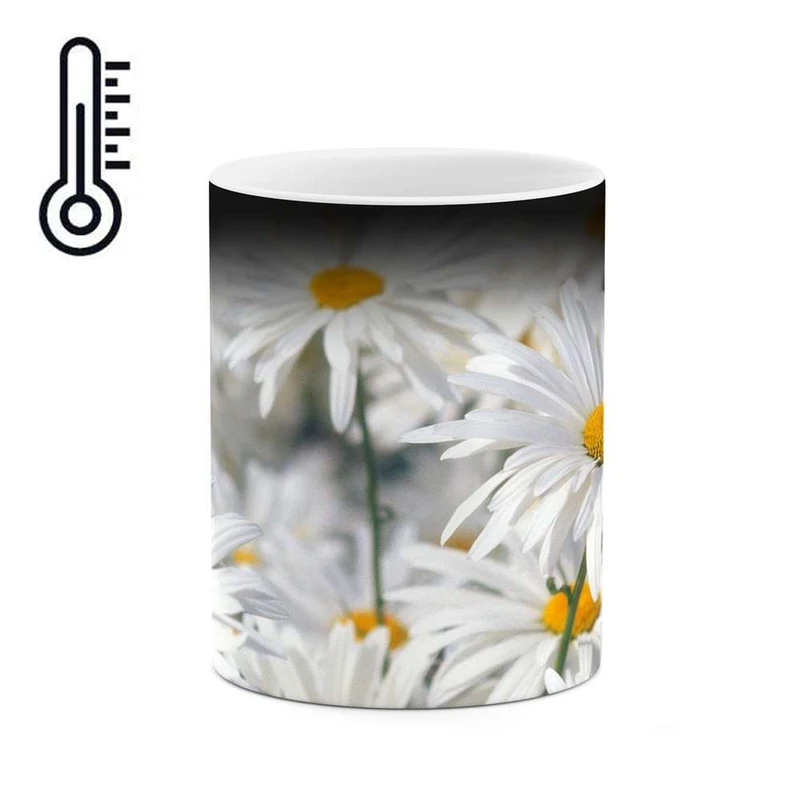 ماگ حرارتی کاکتی مدل گل کد mgh12128