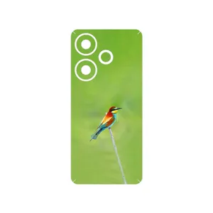 MAHOOT European bee-eater Cover Sticker for Xiaomi Poco F6