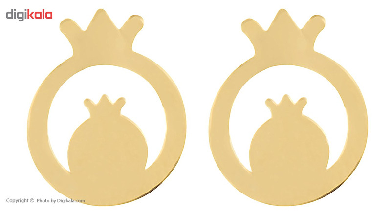 گوشواره طلا 18 عیار زنانه پندار گلد مدل GM23