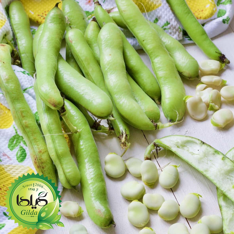 بذر باقالا گیلدا کد 265