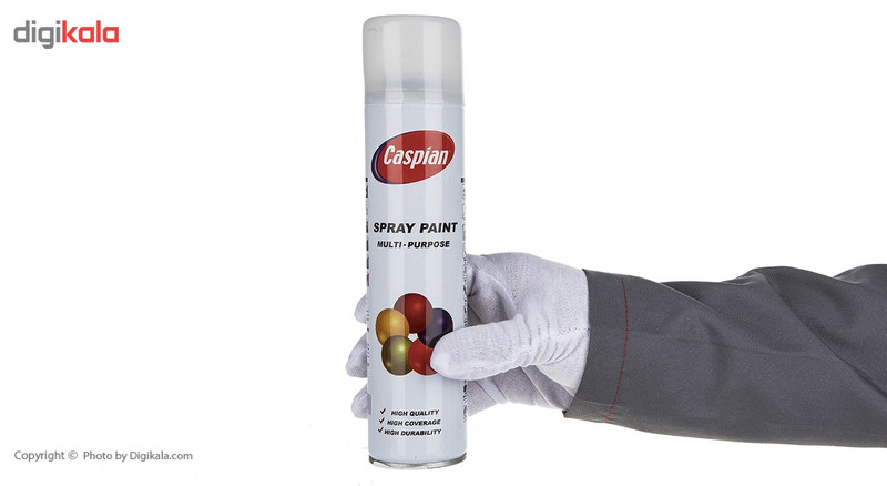 اسپری شیشه مات کن کاسپین وزن 295 گرم