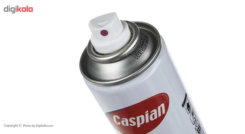 اسپری شیشه مات کن کاسپین وزن 295 گرم