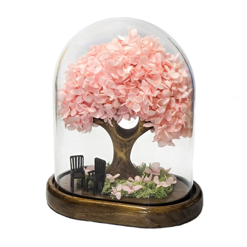 گل رز جاودان مدل درختچه هورتانسیا مدل آدونیس رز