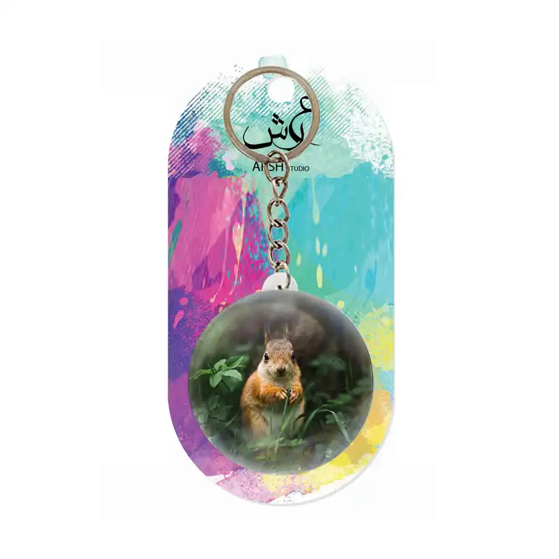 جاکلیدی عرش مدل فانتزی سنجاب کد Asj6104