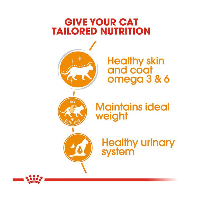 غذای پوچ گربه رویال کنین مدل هیر اند اسکین وزن 85 گرم