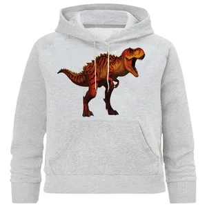 هودی پسرانه کد B 346 دایناسور