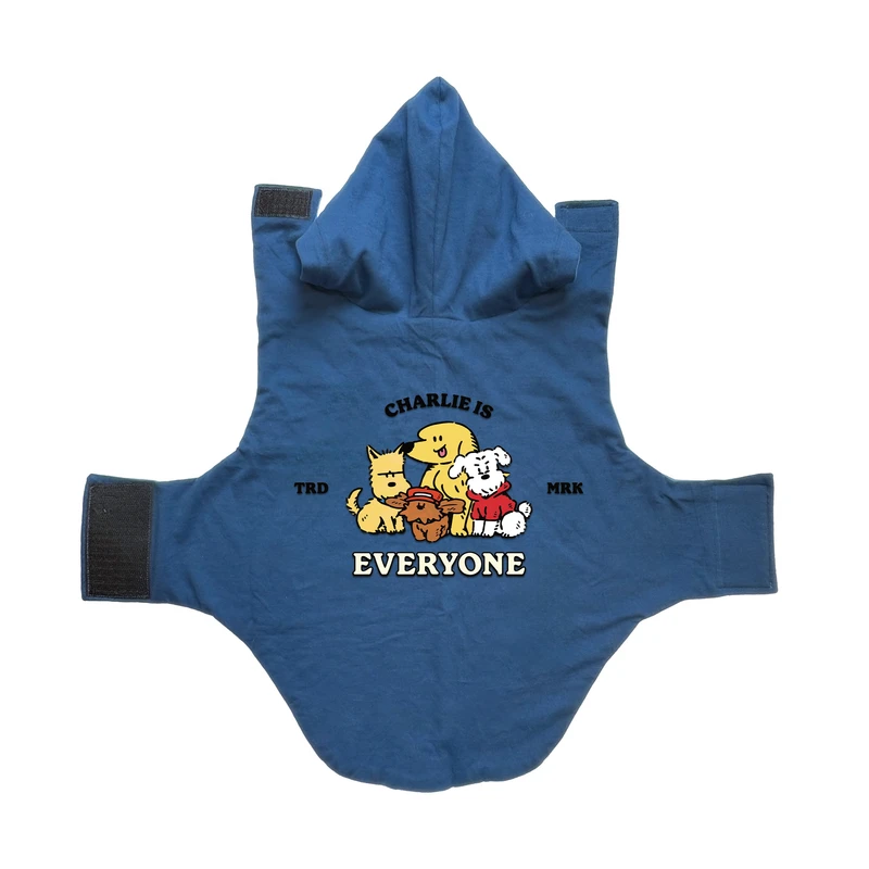 لباس سگ و گربه مدل هانا طرح چاپ دار دوستان 3 سایز 2XL