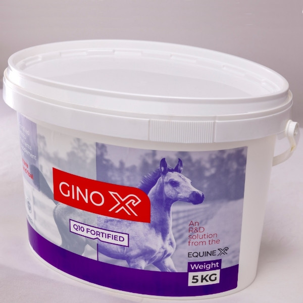 مکمل اسب اکوئین ایکس مدل جینوکس وزن 5 کیلوگرم