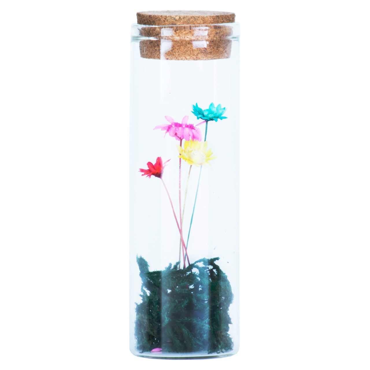 گل ماندگار به همراه گلدان شیشه ای عرش مدل B-119