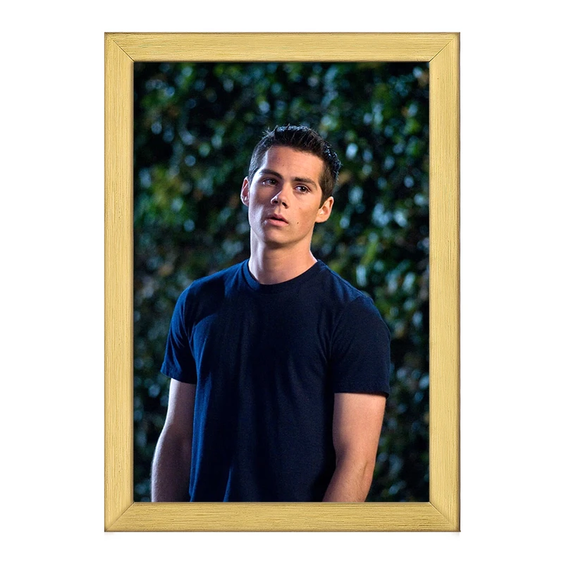 تابلو خندالو طرح استایلز استلینسکی سریال تین ولف Teen Wolf کد 28446