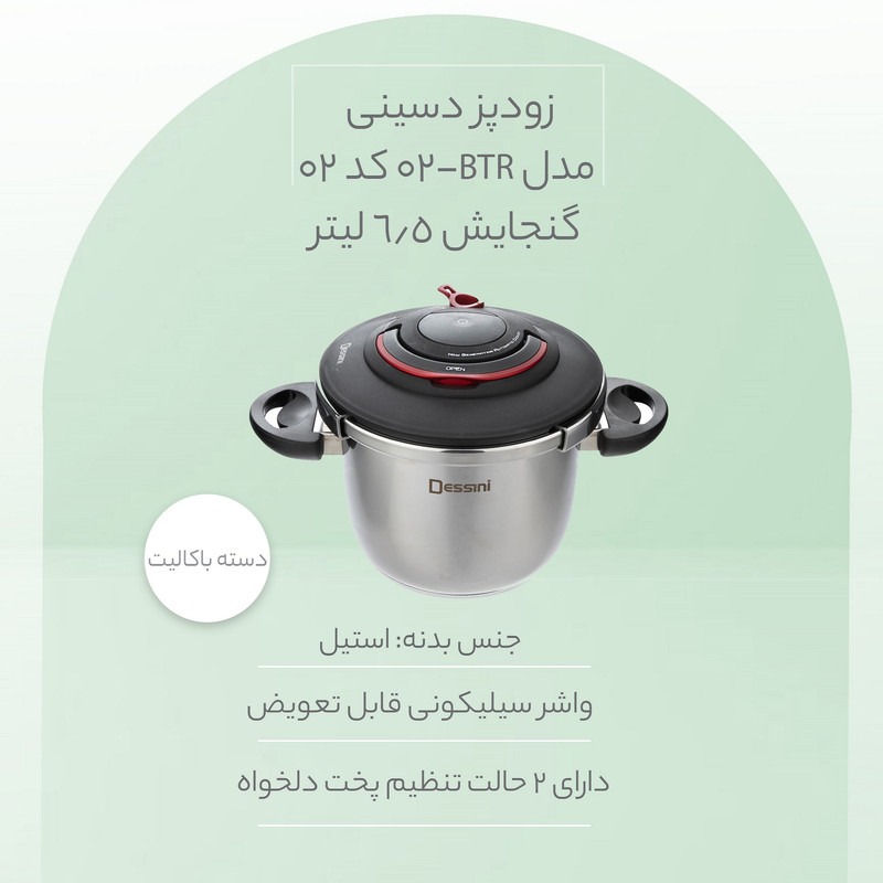 زودپز دسینی مدل BTR-02 کد 02 گنجایش 6.5 لیتر
